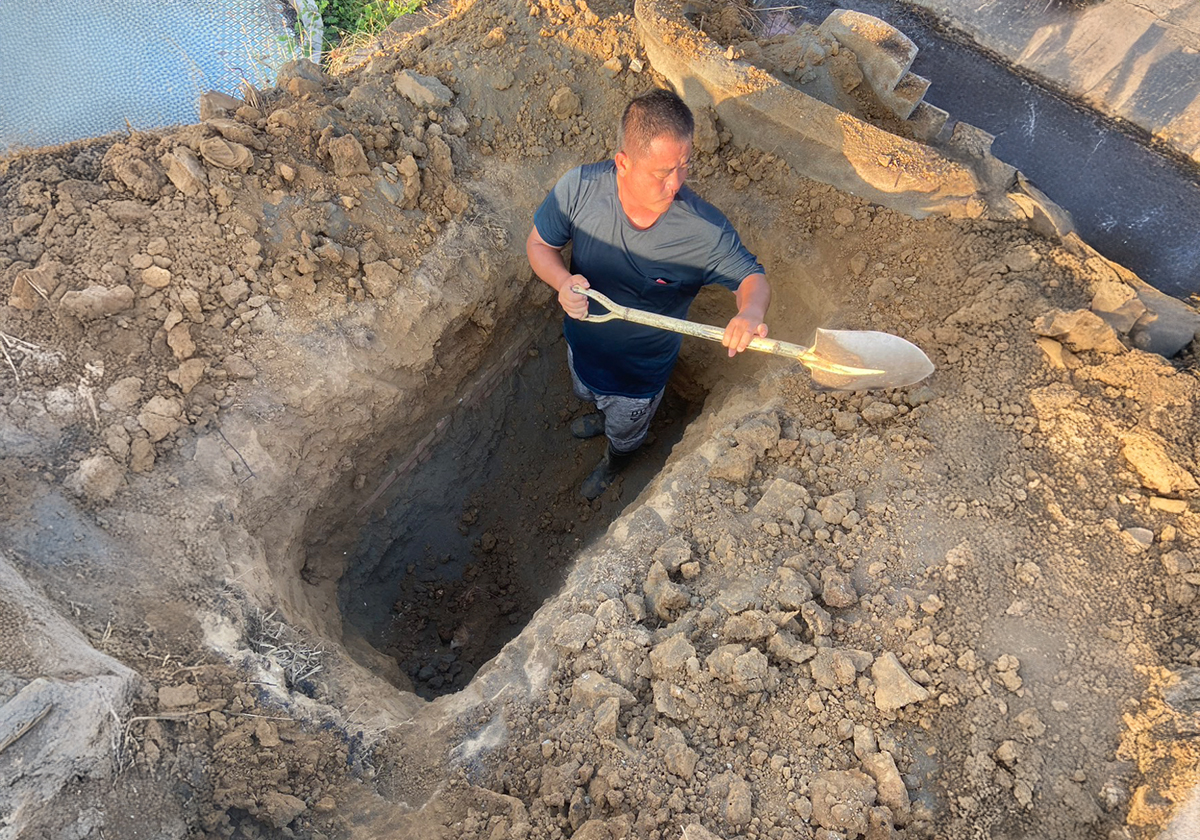 墓地揀骨、遷葬與起掘服務