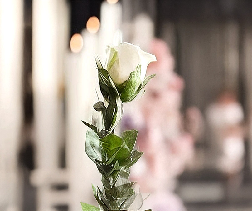 深度解析台南嘉義在地殯葬習俗