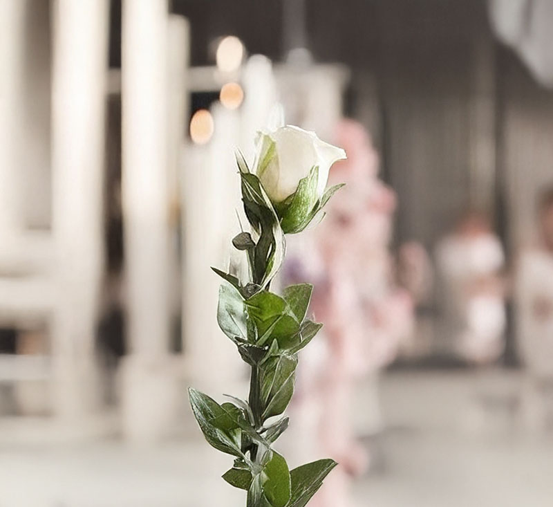 守護逝者尊嚴與合法治喪